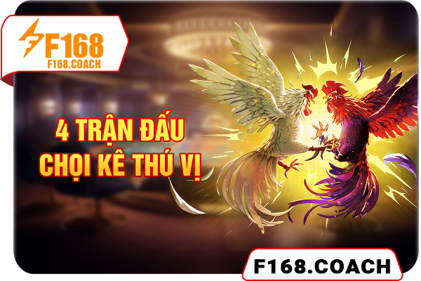 4 trận đấu chọi kê thú vị 4 trận đấu chọi kê thú vị