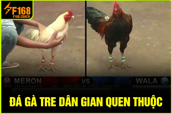 Đá gà tre dân gian quen thuộc